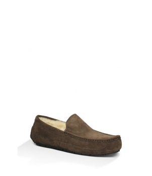 Mens Ascot - Suede Chocolate 5775